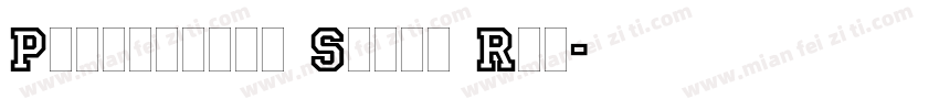 Princetown Solid Reg字体转换